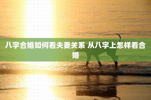 八字合婚如何看夫妻关系 从八字上怎样看合婚