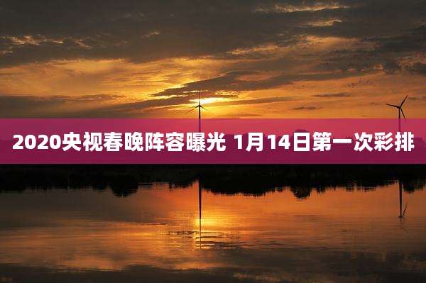 2020央视春晚阵容曝光 1月14日第一次彩排