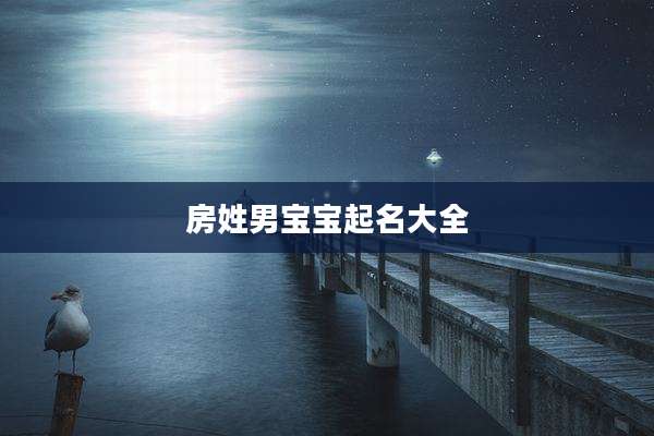 房姓男宝宝起名大全