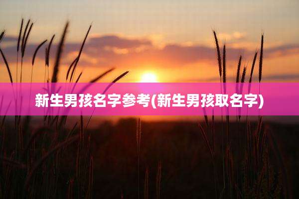 新生男孩名字参考(新生男孩取名字)