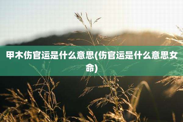 甲木伤官运是什么意思(伤官运是什么意思女命)