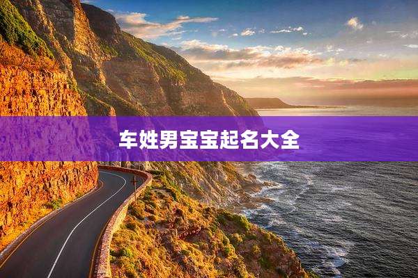 车姓男宝宝起名大全