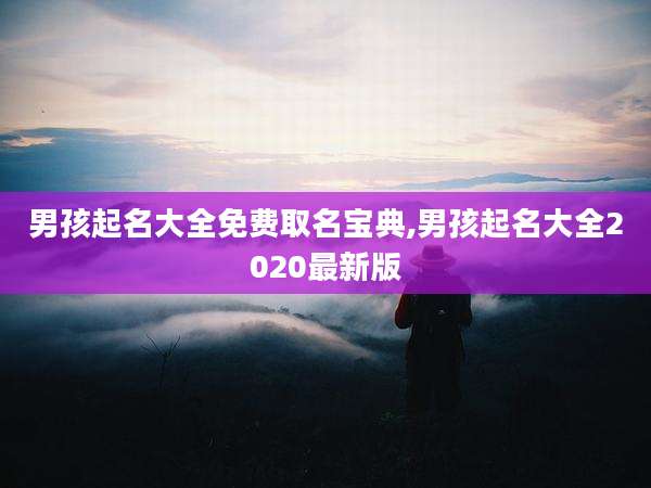 男孩起名大全免费取名宝典,男孩起名大全2020最新版
