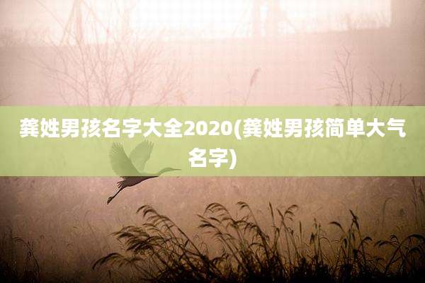 龚姓男孩名字大全2020(龚姓男孩简单大气名字)