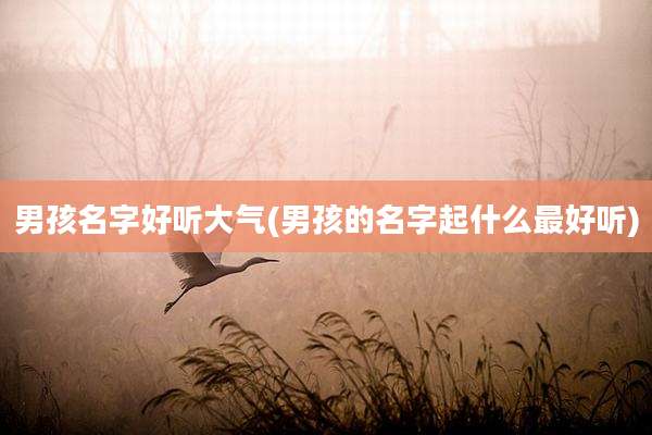 男孩名字好听大气(男孩的名字起什么最好听)
