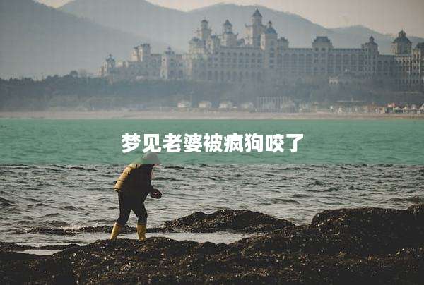 梦见老婆被疯狗咬了