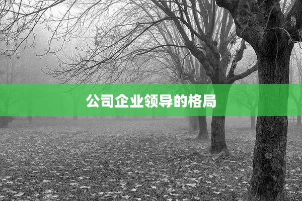 公司企业领导的格局