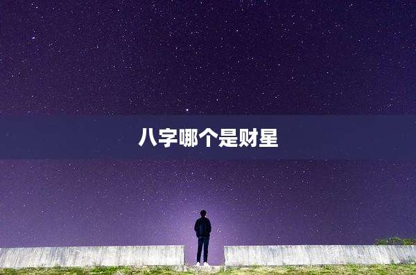 八字哪个是财星
