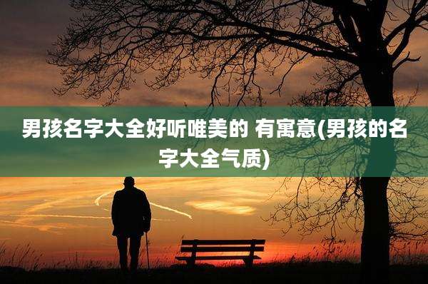 男孩名字大全好听唯美的 有寓意(男孩的名字大全气质)