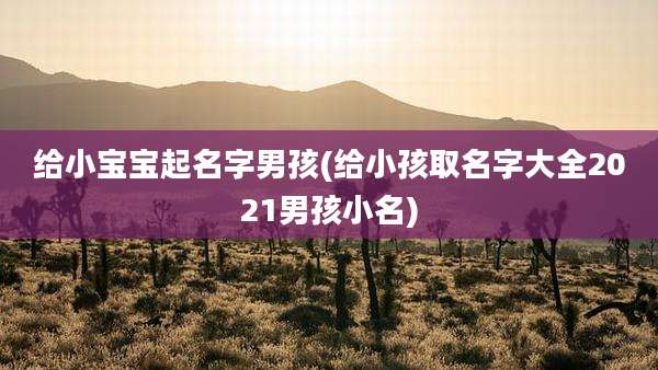 给小宝宝起名字男孩(给小孩取名字大全2021男孩小名)