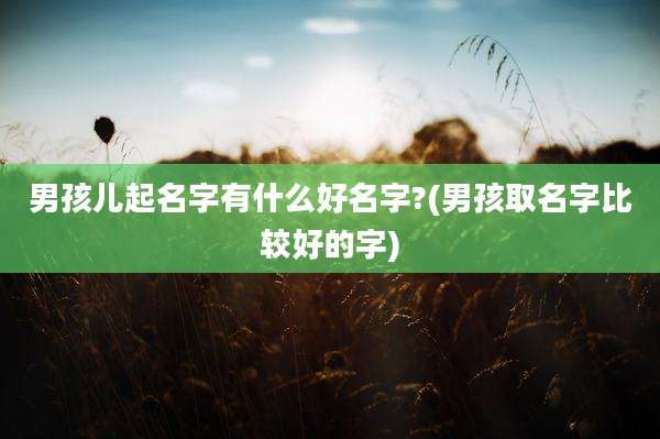 男孩儿起名字有什么好名字?(男孩取名字比较好的字)