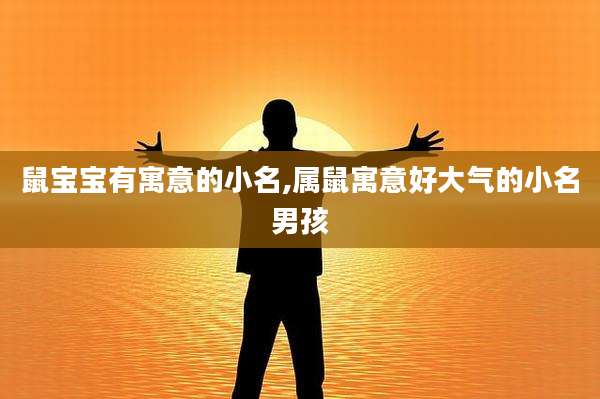 鼠宝宝有寓意的小名,属鼠寓意好大气的小名男孩