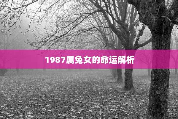 1987属兔女的命运解析