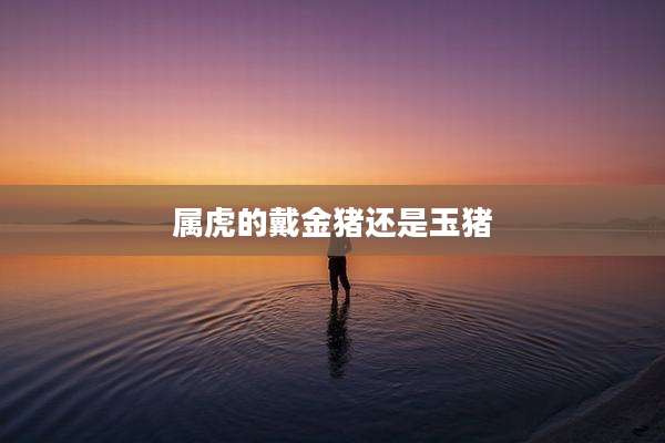 属虎的戴金猪还是玉猪