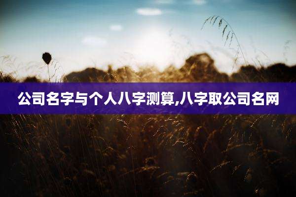 公司名字与个人八字测算,八字取公司名网