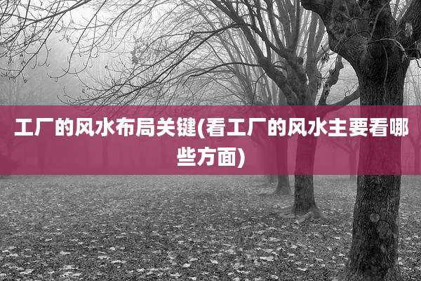 工厂的风水布局关键(看工厂的风水主要看哪些方面)