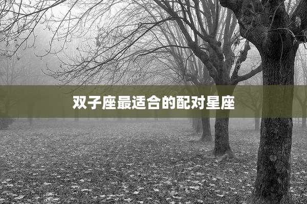 双子座最适合的配对星座