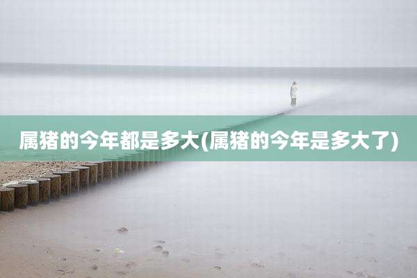 属猪的今年都是多大(属猪的今年是多大了)