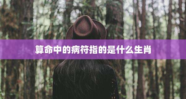 算命中的病符指的是什么生肖