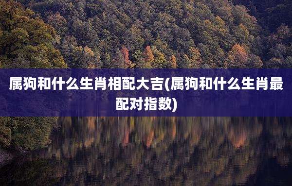 属狗和什么生肖相配大吉(属狗和什么生肖最配对指数)