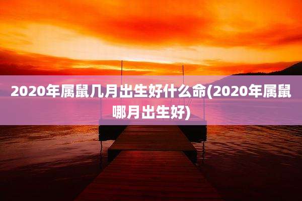 2020年属鼠几月出生好什么命(2020年属鼠哪月出生好)