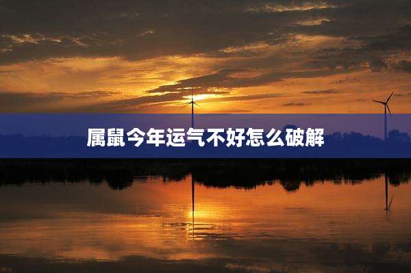 属鼠今年运气不好怎么破解