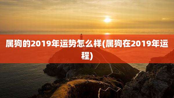 属狗的2019年运势怎么样(属狗在2019年运程)