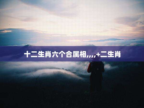 十二生肖六个合属相,,,,+二生肖