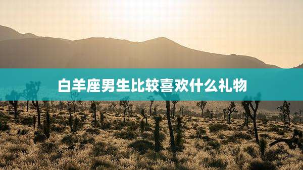 白羊座男生比较喜欢什么礼物