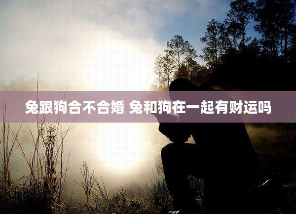 兔跟狗合不合婚 兔和狗在一起有财运吗