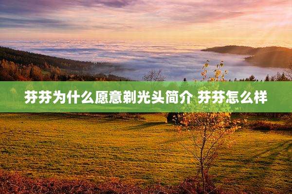 芬芬为什么愿意剃光头简介 芬芬怎么样