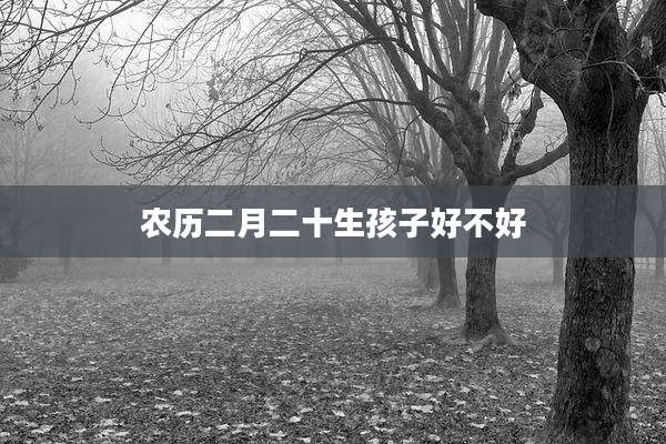 农历二月二十生孩子好不好