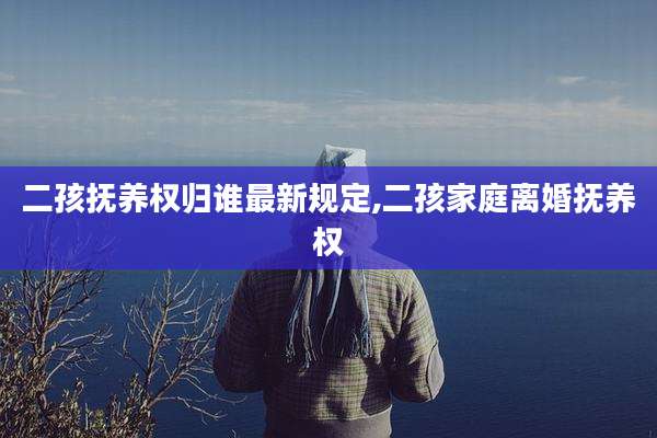 二孩抚养权归谁最新规定,二孩家庭离婚抚养权