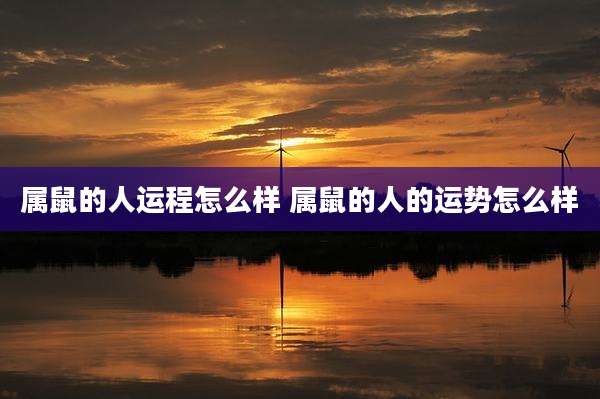 属鼠的人运程怎么样 属鼠的人的运势怎么样