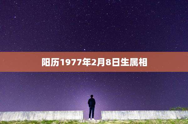 阳历1977年2月8日生属相