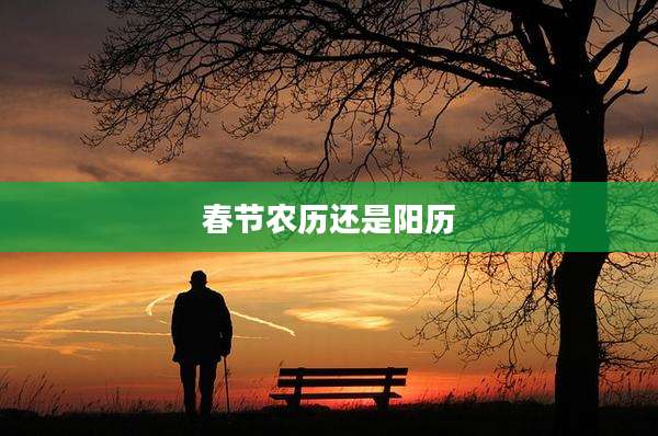 春节农历还是阳历