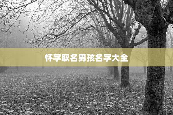 怀字取名男孩名字大全