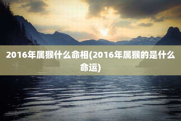 2016年属猴什么命相(2016年属猴的是什么命运)