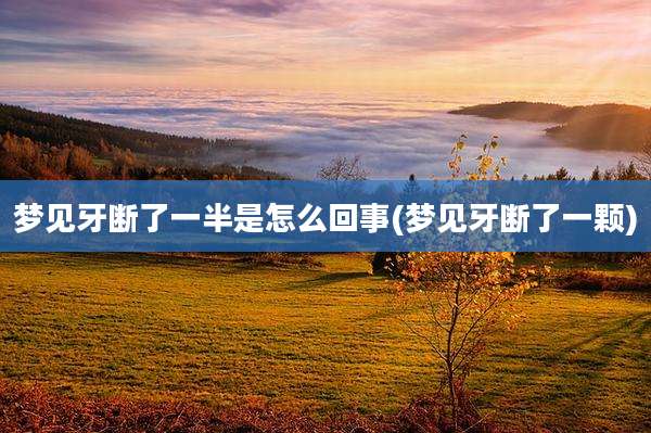 梦见牙断了一半是怎么回事(梦见牙断了一颗)