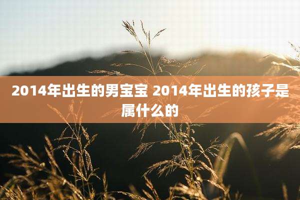 2014年出生的男宝宝 2014年出生的孩子是属什么的