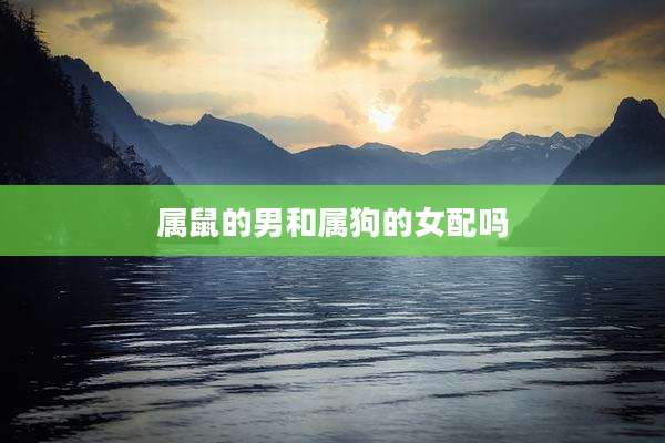 属鼠的男和属狗的女配吗