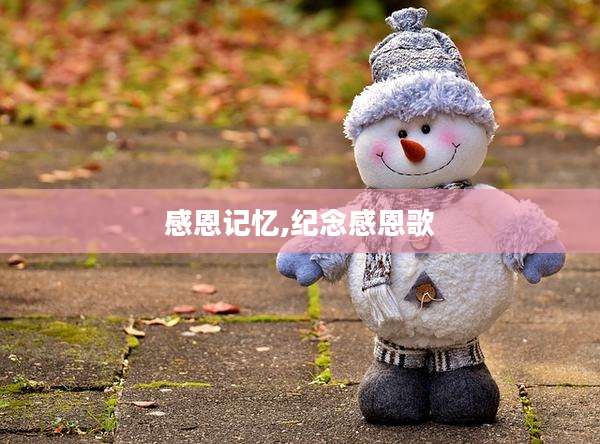 感恩记忆,纪念感恩歌