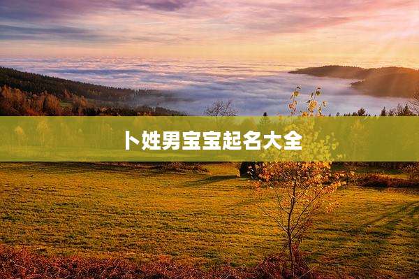 卜姓男宝宝起名大全