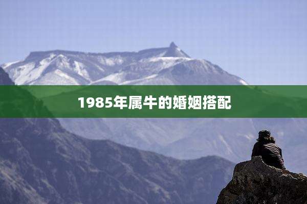 1985年属牛的婚姻搭配