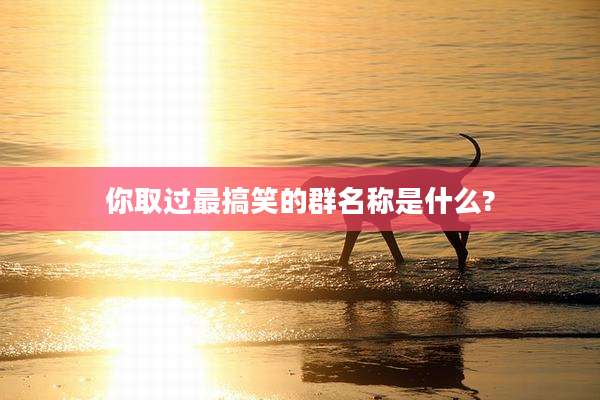 你取过最搞笑的群名称是什么?