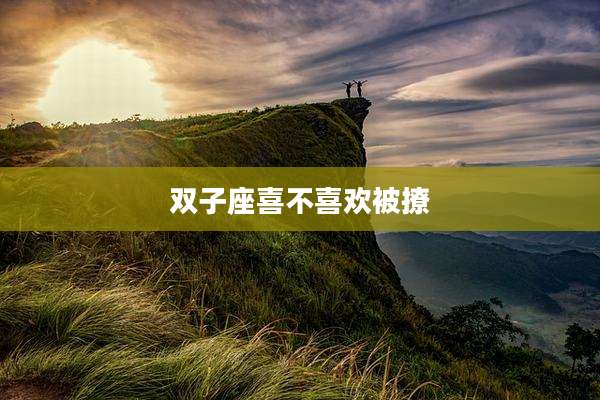 双子座喜不喜欢被撩