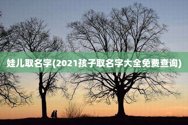 娃儿取名字(2021孩子取名字大全免费查询)