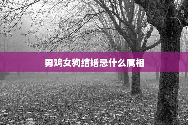 男鸡女狗结婚忌什么属相