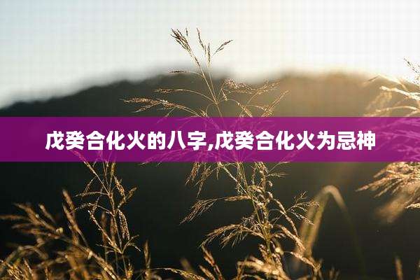 戊癸合化火的八字,戊癸合化火为忌神