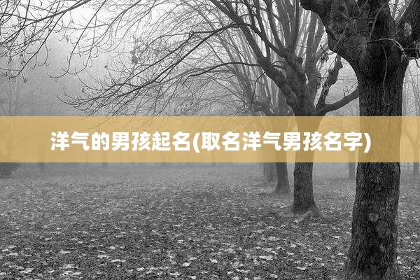洋气的男孩起名(取名洋气男孩名字)